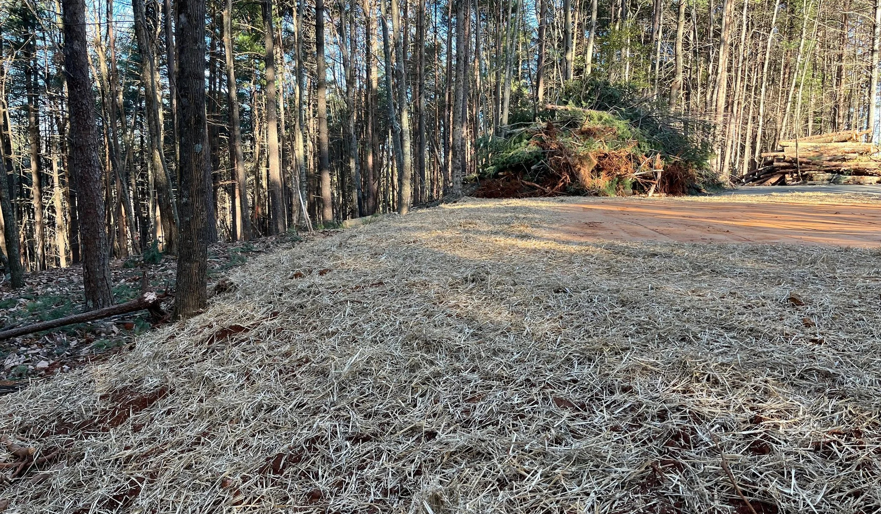 Tracked equipment removing brush and woody debris in Chatsworth Georgia