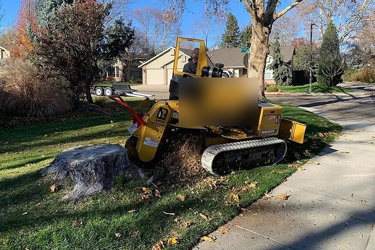 Large stump removal with professional grinding equipment in Chatsworth Georgia