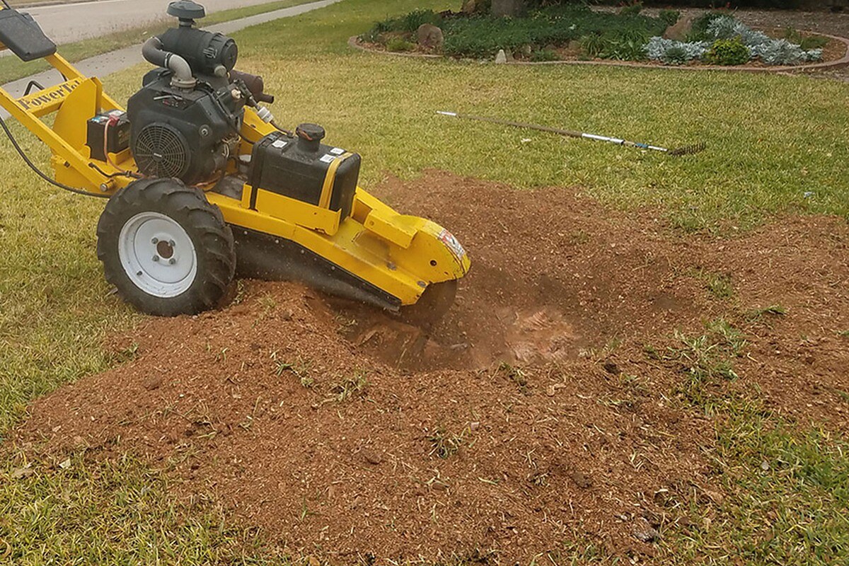 Grinding exposed stump roots near a residential lawn in Chatsworth Georgia