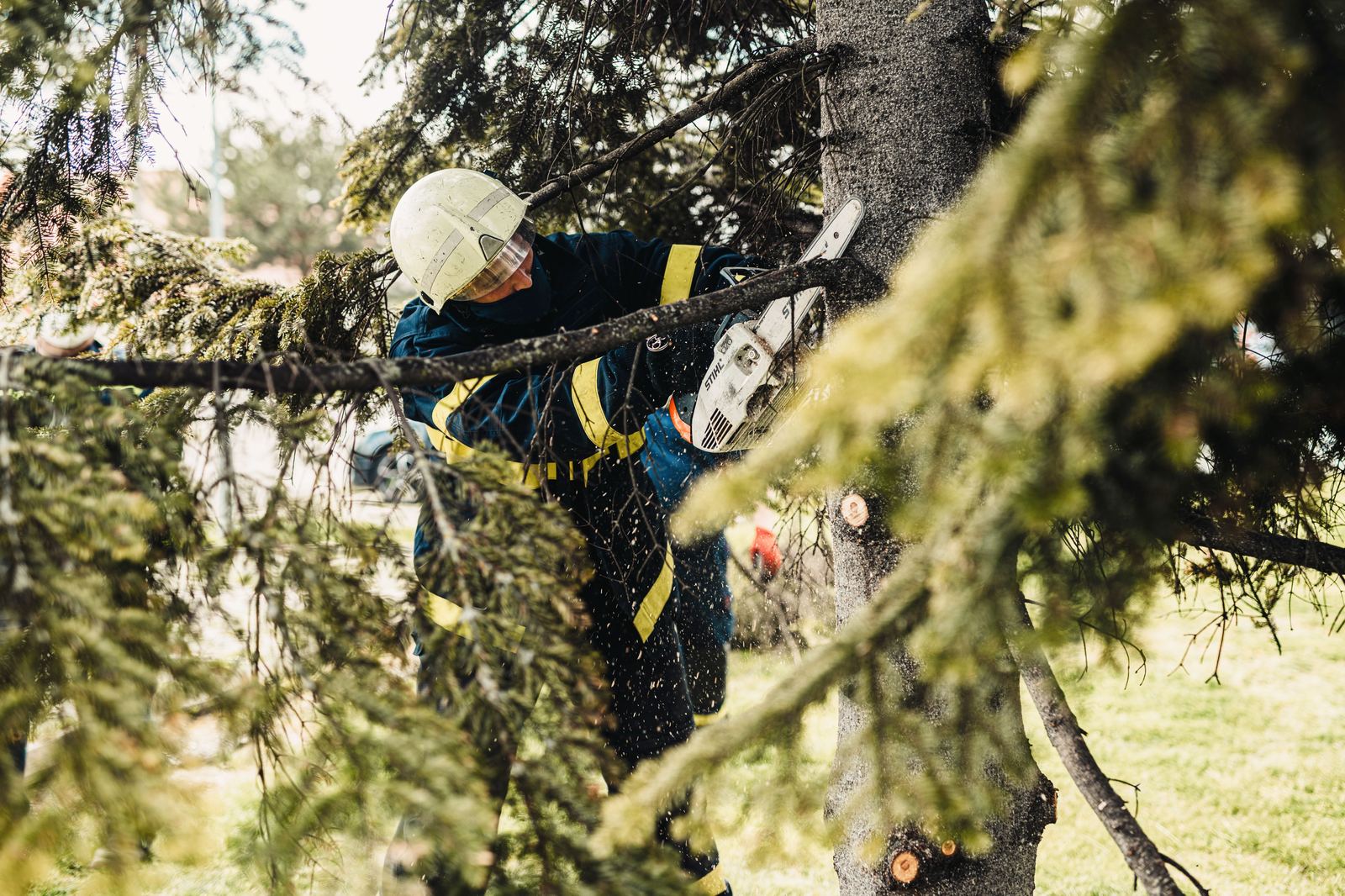 Tree service worker trimming branches with a chainsaw